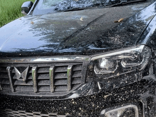 काली रंग की स्कॉर्पियो में आए गैंगस्टर और बरामद पिस्तौल और कारतूस।