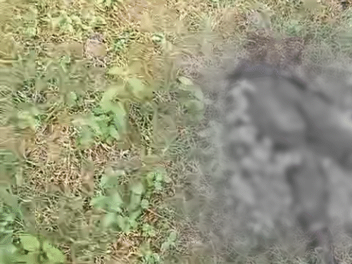 On the spot, the young man was found below the waist, which had insects.