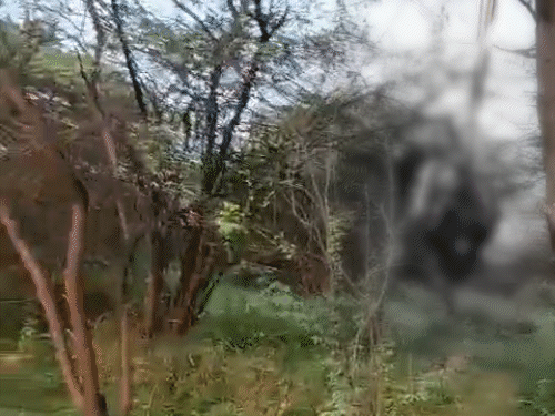 The young man's head was found hanging from a scarf tied on the tree.