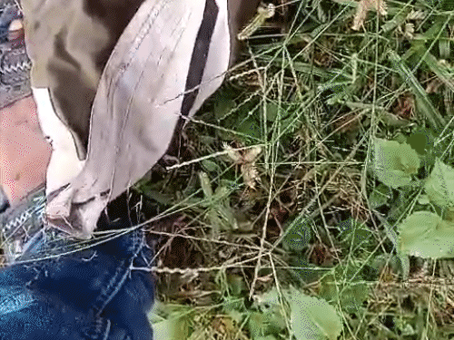 The young man's bag has been found on the spot, which had clothes and other items.