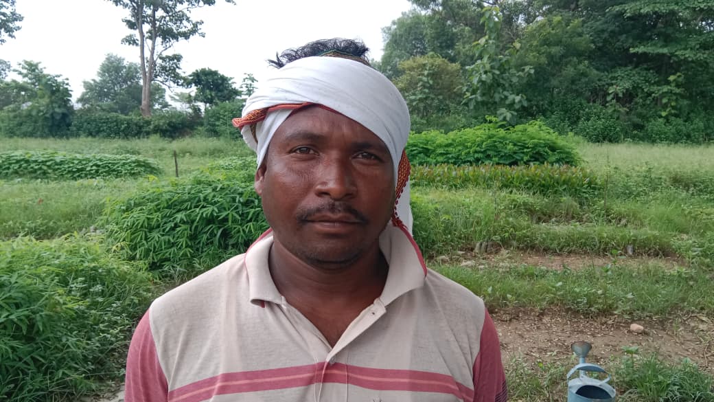 रमेश कोड़ा नर्सरी और आम बागवानी के लिए जाने जाते हैं।