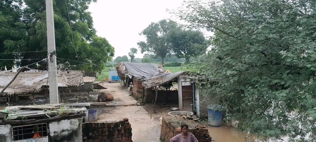 टापू बना गांव।