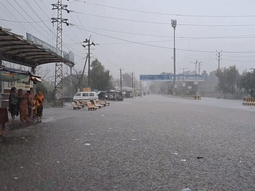 रविवार सुबह पुष्कर रोड पर बरसात से बचने के लिए बस शेल्टर का सहारा लिया।