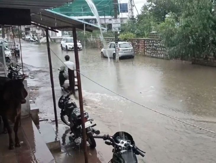 पाली शहर के नया हाउसिंग बोर्ड क्षेत्र की स्थिति।