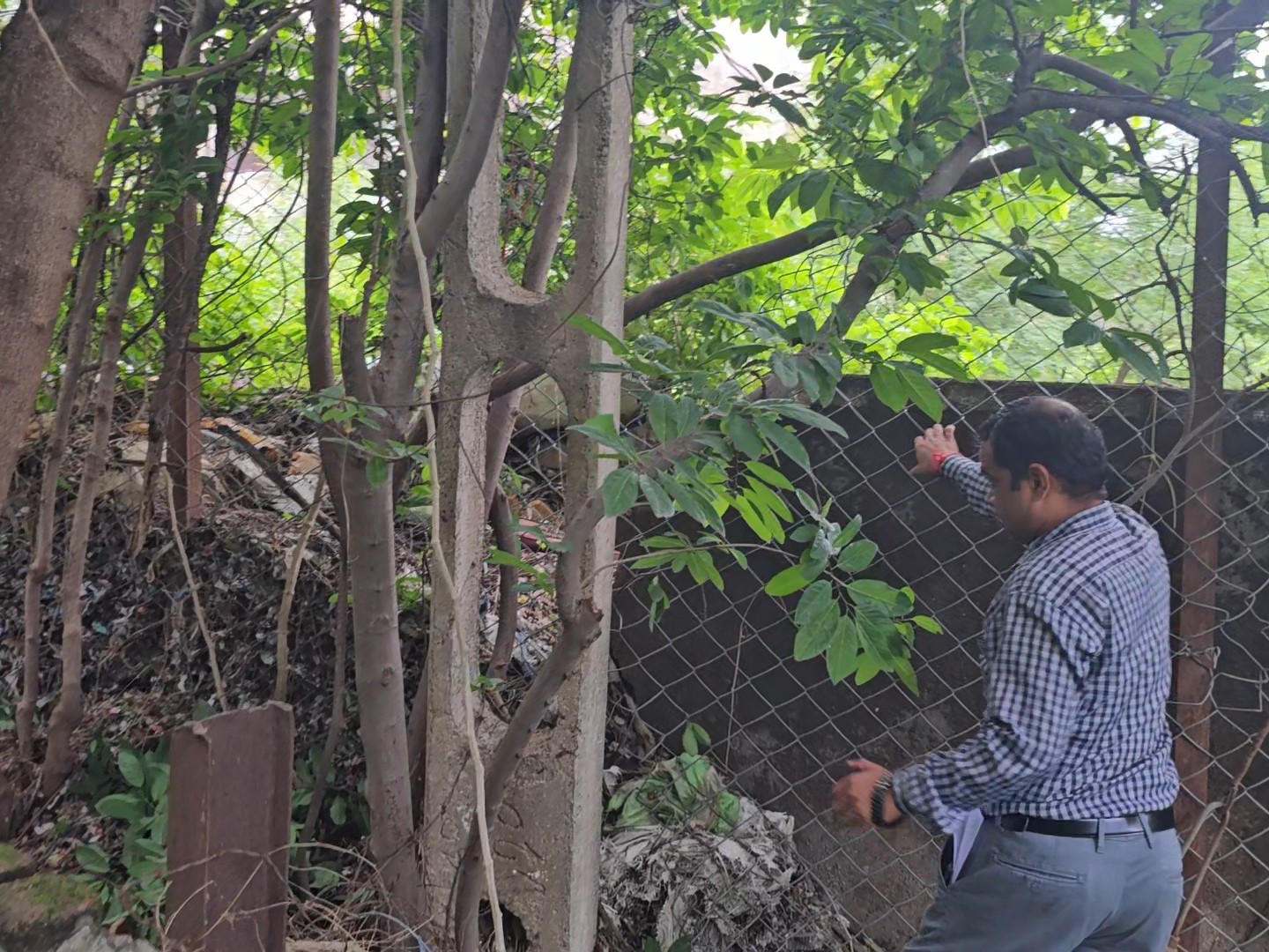 चोरों ने काटी जाली।