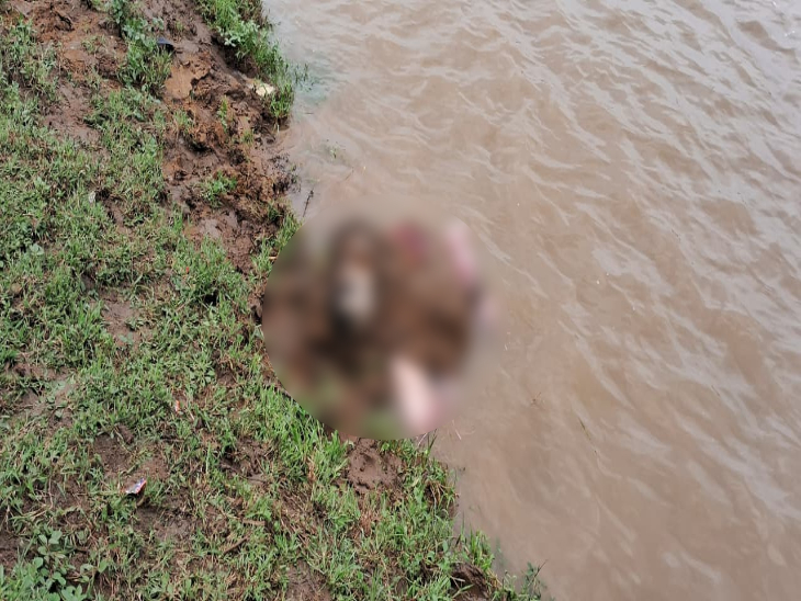 बिलासपुर जिले में शिवनाथ नदी के किराने से महिला की लाश बरामद हुई है।