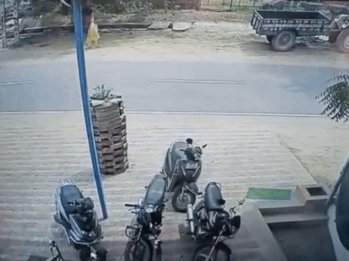 On August 11, Manisha, a CCTV, was captured in the Ideal College.