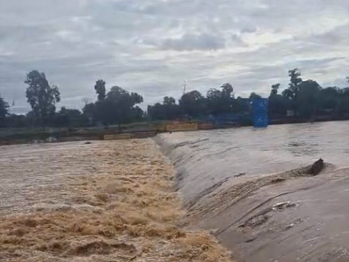 रामानुजगंज में कन्हर नदी में बने एनीकट के ऊपर से पानी जा रहा है।