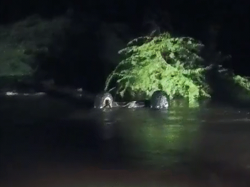 पाली जिले के सोजत एरिया के झुपेलाव–चाड़वास रोड पर बरसाती नाले में फंसी कांग्रेस नेता चुन्नीलाल चाड़वास की स्कॉर्पियो, चाड़वास सुरक्षित।