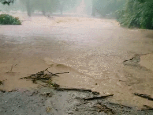झीरम में जगदलपुर-सुकमा मार्ग पर सड़क के ऊपर से नाले का पानी बह रहा है।