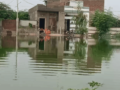 लोग अपने घरों की दहलीज से आगे नहीं बढ़ पा रहे हैं। पानी के कारण आने-जाने में दिक्कतें हो रही हैं।