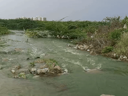 सुंदेलाव तालाब से इस तरह पानी ओवरफ्लो होकर कॉलोनियों तक पहुंच रहा है।