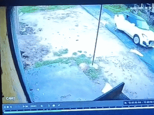 कार में बैठाने के बाद कार तेज गति से वहां से निकल गई। इस दौरान एक व्यक्ति दौड़कर आया, लेकिन तब तक कार निकल चुकी थी।