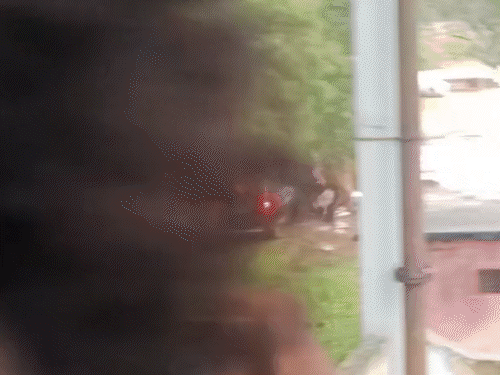 त्थलगांव रेंज में ही हाथी ने वन विभाग की गाड़ी पर हमला कर दिया