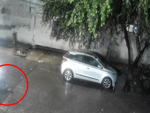 CCTV में दिखा कि नाबालिग लाल रंग की कार से एक व्यक्ति को घसीटते हुए ले गया, जिससे उसकी मौत हो गई। - Dainik Bhaskar