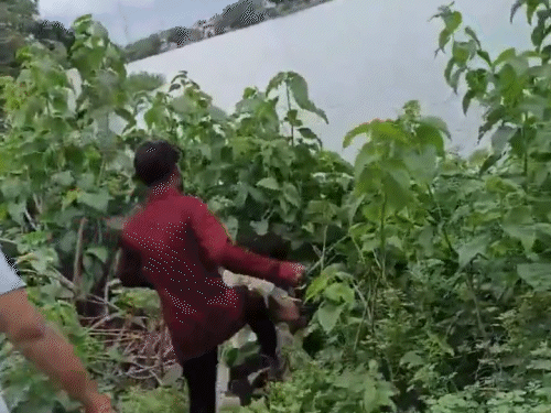 दबंग तालाब किराने झाड़ियों में धकेल कर युवक को पीटने लगे।