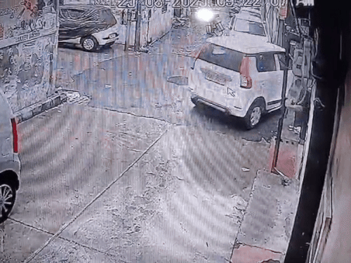 कुत्ते को कुचल कर जाता हुआ कार ड्राइवर। - Dainik Bhaskar