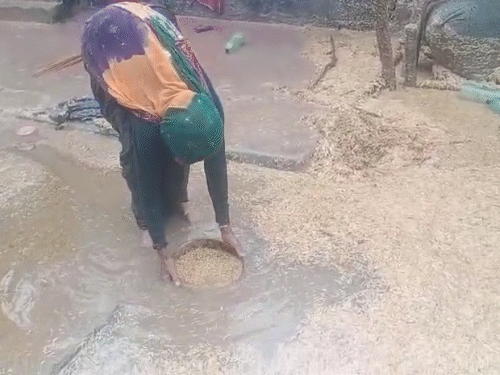 देवरिया में पानी में बहे अनाज को छलनी की सहायता से कुछ इस तरह इकट्‌ठा करने का प्रयास किया जा रहा है।