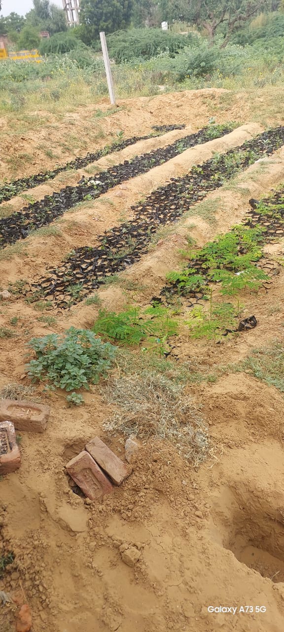 पौधशालाओं के उजड़े परिसर में खरपतवार और झाड़ियां, हरियाली का सपना अधूरा रह गया।