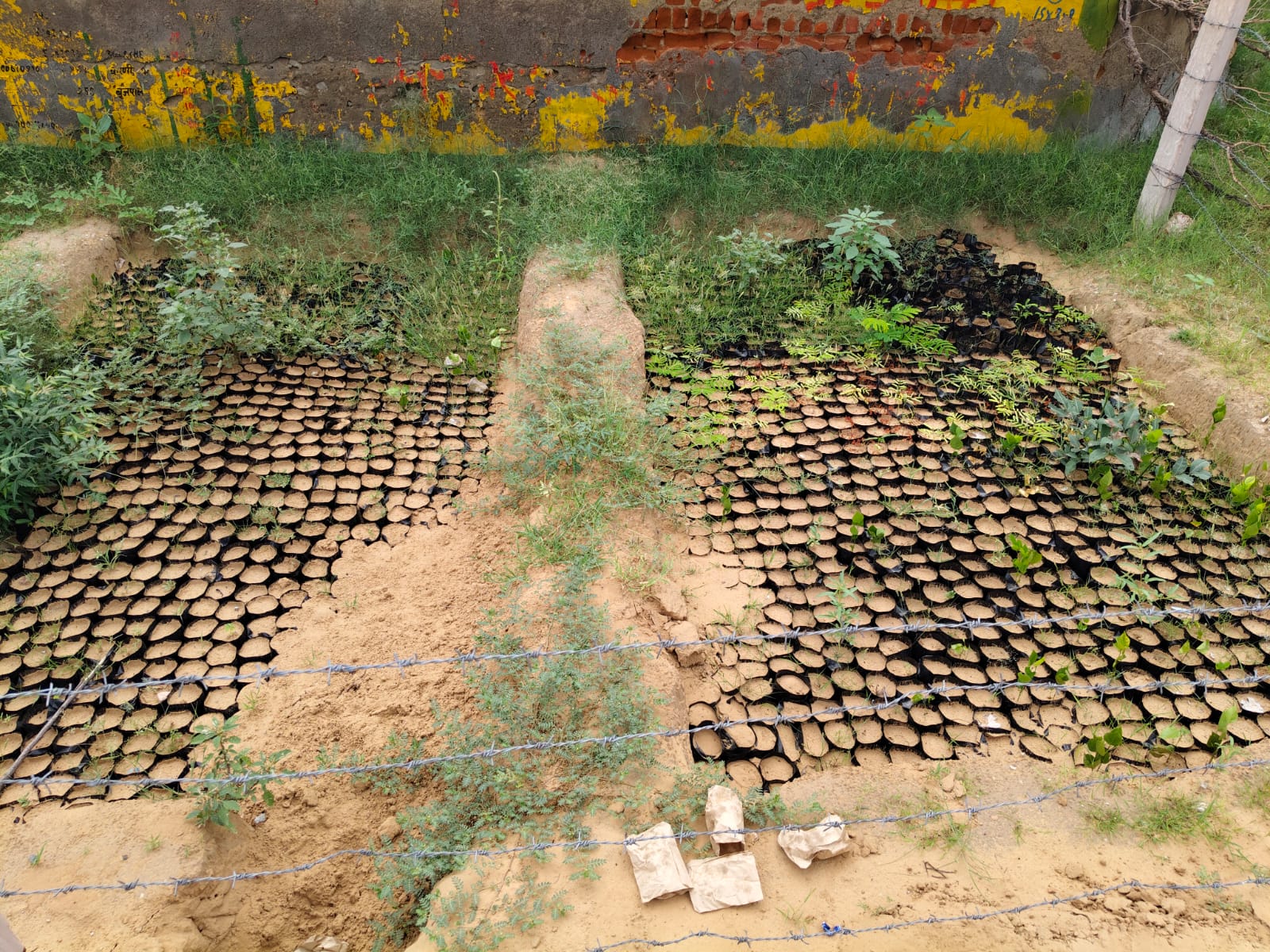 झटावा खुर्द पंचायत की पौधशाला—कागजों पर हरी-भरी, जमीन पर सिर्फ वीरानी और टूटे गमले।