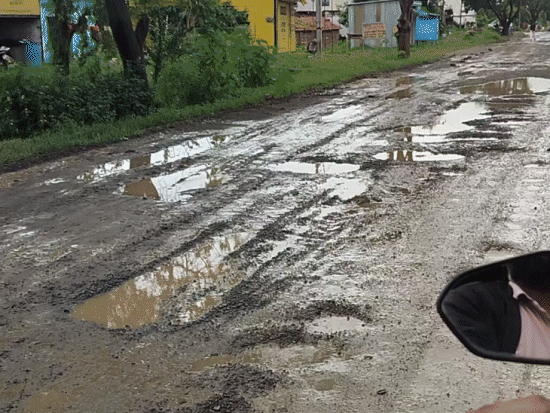 सड़क पर बड़े-बड़े गड्‌ढे हो गए हैं। इनमें बारिश का पानी भर जाता है।