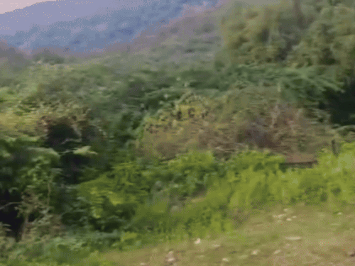 क्रेन की मदद से क्षतिग्रस्त गाड़ी को निकलते हुए।