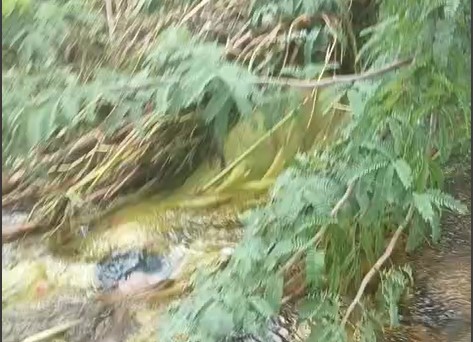 पीपली गांव में बनास नदी के किनारे झाड़ियों में मिला महिला का शव।