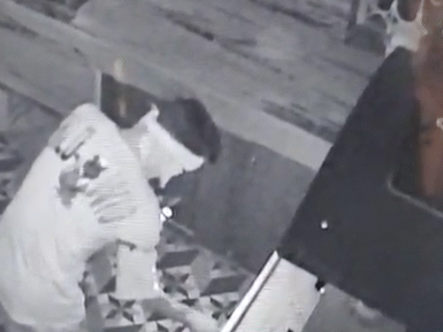 CCTV में चेहरे को कपड़े से कवर कर छानबीन करता दिखा चोर।