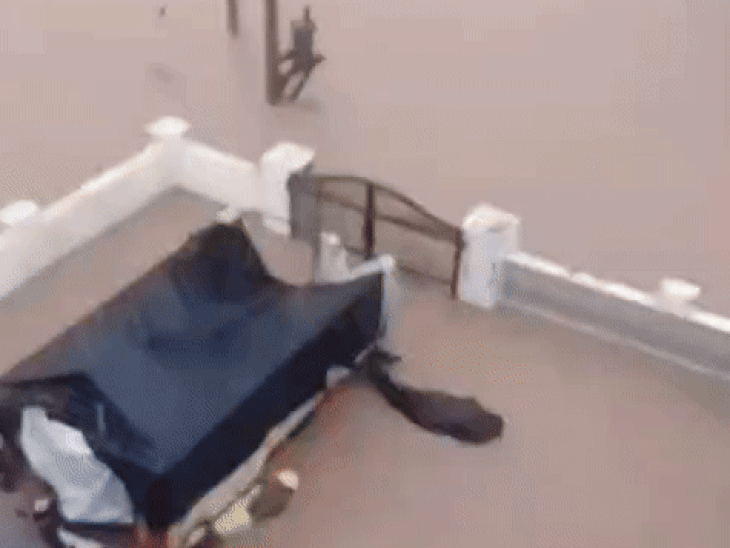 भारत-पाक सीमा से कुछ ही दूरी पर डेरा बाबा नानक में बाढ़ में फंसा व्यक्ति और उसके मवेशी।