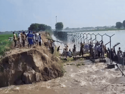 In Tarn Taran, water from Pakistan came to the Indian border, which broke the fencing. The villagers, along with the BSF, took the front and tried to save the fencing.
