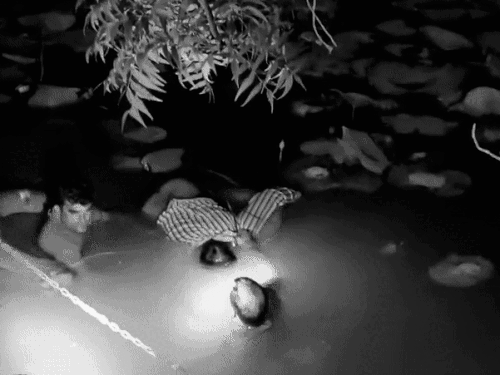 ‘पत्नी को धनवान बनने की इच्छा,बच्चों से दूर कर दिया’:  बीकानेर में ज्योतिषी ने सुसाइड किया, मरने से पहले फेसबुक पर लिखी पोस्ट – Bikaner News