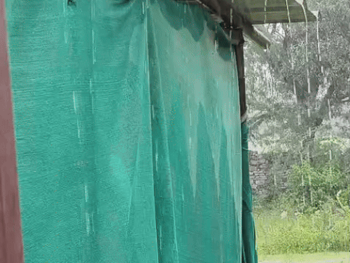 तेज बारिश के बाद तेज धूप भी निकल गई।