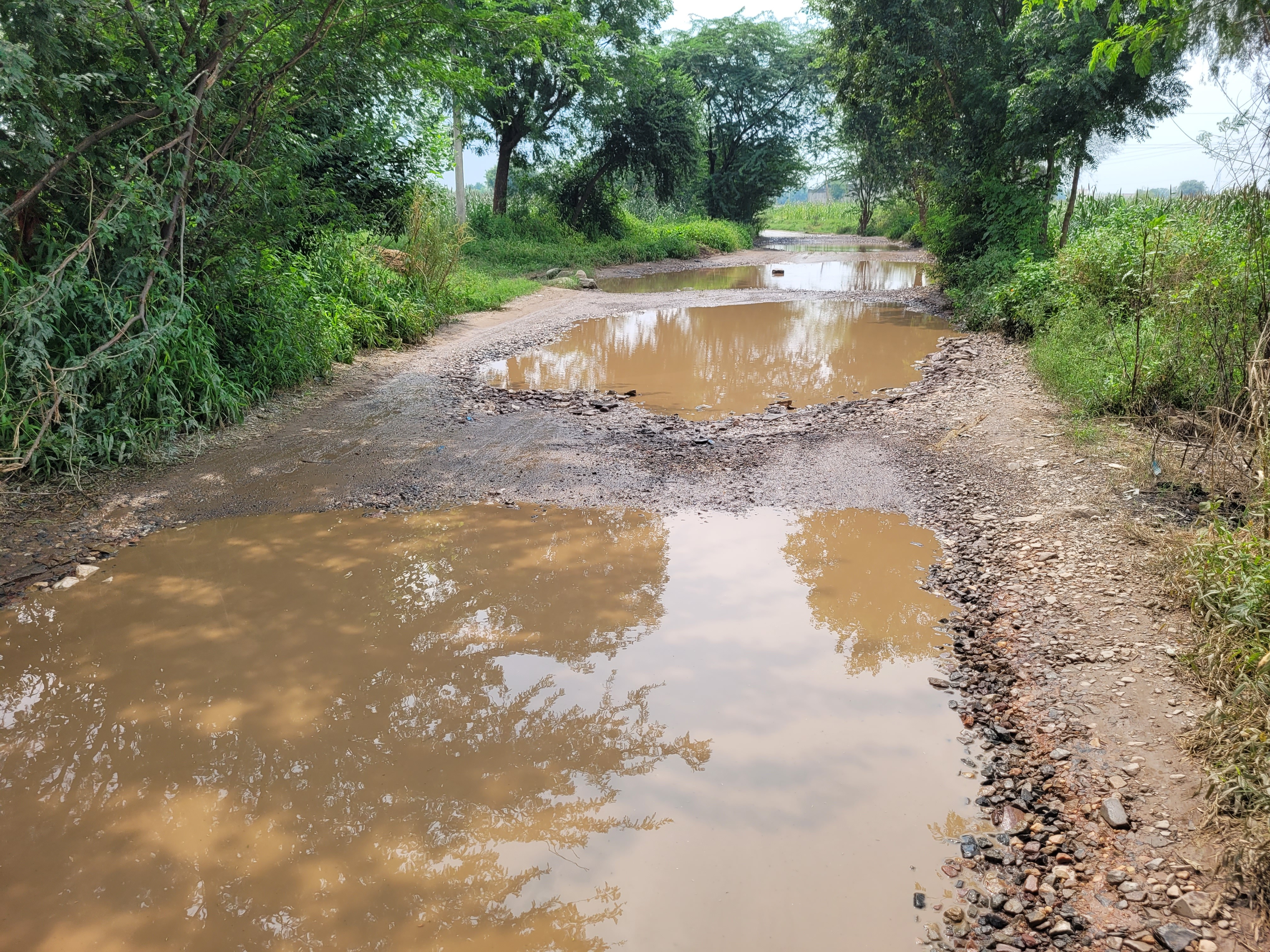 The condition of roads in Behror is bad | बहरोड़ में सड़कों की हालत ...