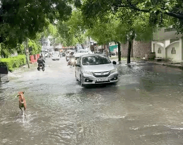 शास्त्री नगर में बारिश के पानी के बीच लोगों को गाड़ियां निकलने में परेशानी हुई