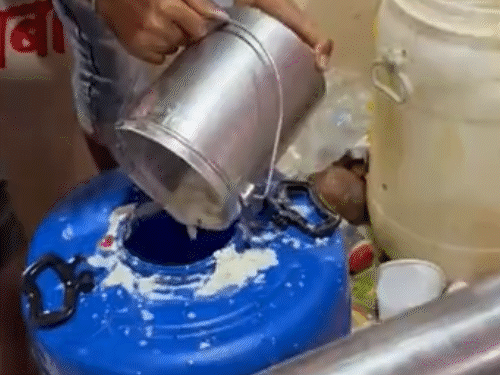 कई पशुपालक तो सवा किलो घी चढ़ाने आए। गांव से आने वाले लोग घी, दूध और दही का भोग लगाते हैं, जो सालों से चली आ रही परंपरा है।