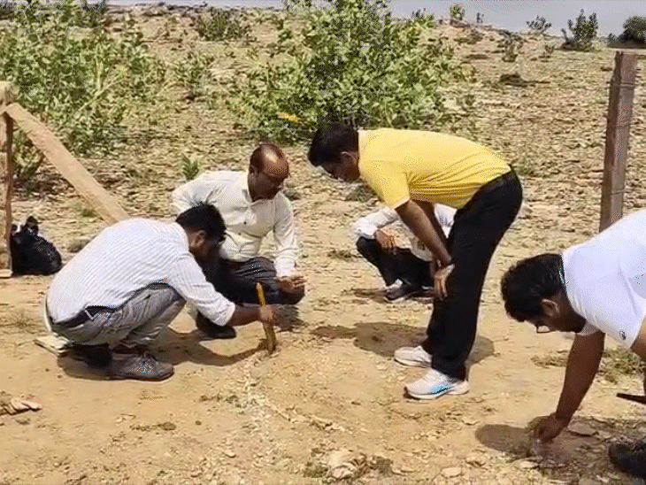 गांव वालों से मिली जानकारी पर विशेषज्ञों की एक टीम पहुंची और जैसलमेर में डायनोसोर से भी पुराना जीवाश्म मिलने की पुष्टि हुई।