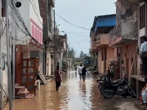 River water entered into the colony.