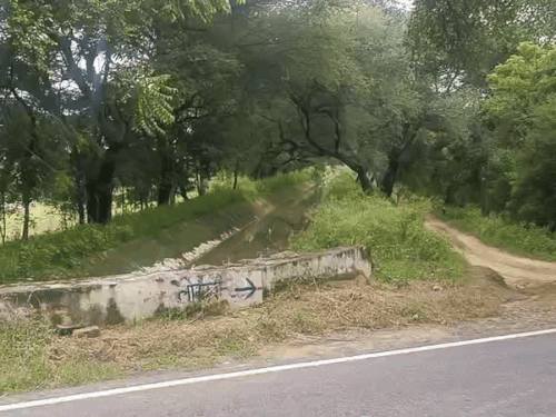 इस रास्ते पर 100 मीटर आगे वह खेत है, जहां मनीषा का शव मिला।