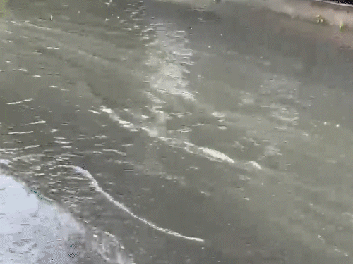 करीब 2 घंटे तक हुई बारिश से सड़कों पर पानी भर गया।