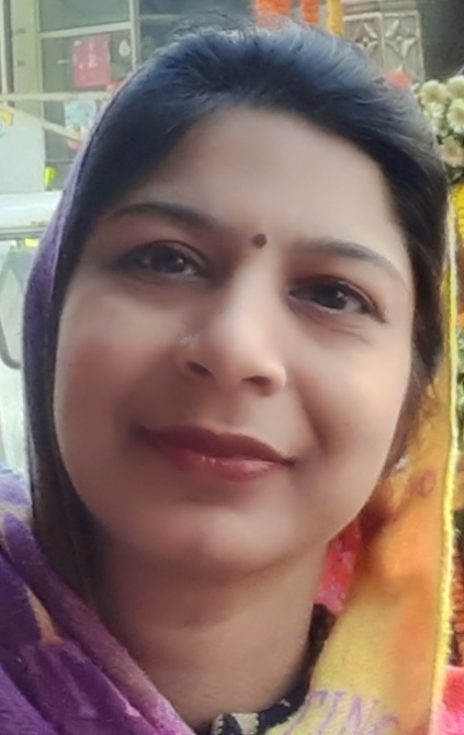 सिरसा में साइन-बोर्ड उखाड़ने पर पूर्व पार्षद सीएम से मिलेंगे:  आरोप-चेयरमैन ने तुड़वाए, क्या इनकी बोली लगेगी, पार्षद बोले- कोई एजेंडा पास नहीं – Sirsa News