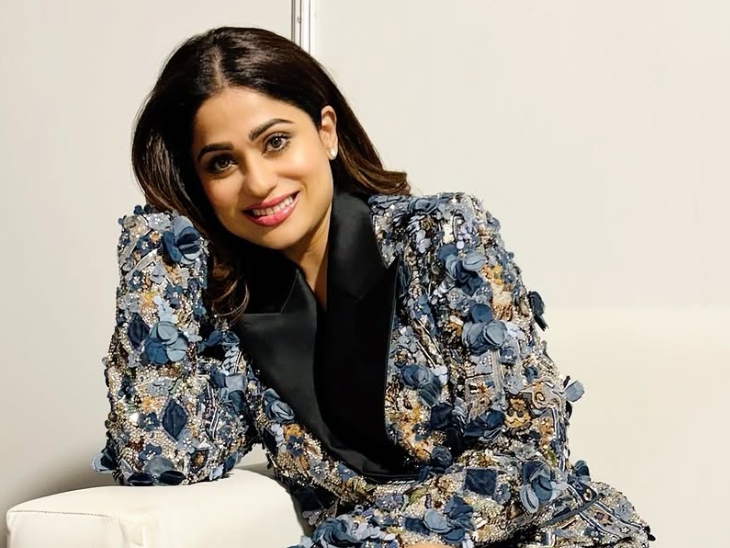 'बिग बॉस' के अलावा शमिता ने 'झलक दिखला जा', 'फियर फैक्टर: खतरों के खिलाड़ी' जैसे रियलिटी टेलीविजन शो में भाग लिया है।