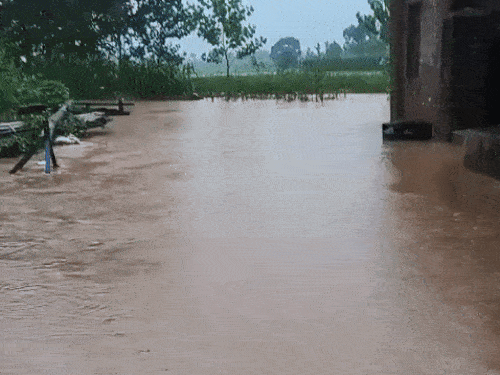 Water of Som river entered Chintpur village.