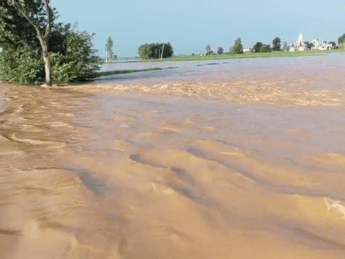 Water filled in the fields of Kathwa village.