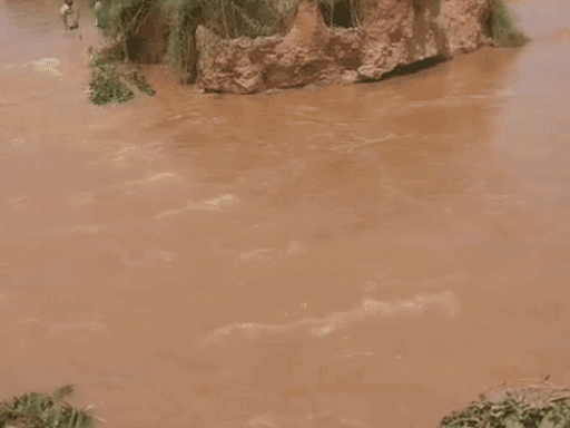 The embankment of the Markanda River broken near Nessi last week.