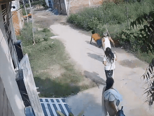 डाबा रोड पर नेहा और उसके पड़ोसी ने झपटमार की धुनाई की।