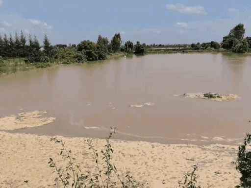Last week, water stored in the fields due to the breaking of embankment in Kanthala village.