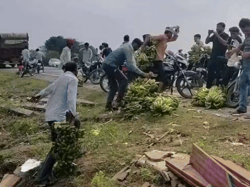 बाइक पर रखकर केले ले जाते लोग।