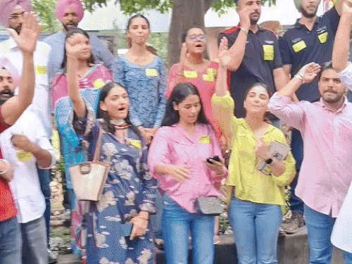 पंजाब यूनिवर्सिटी में सभी पार्टियों ने किया चुनाव प्रचार तेज। - Dainik Bhaskar