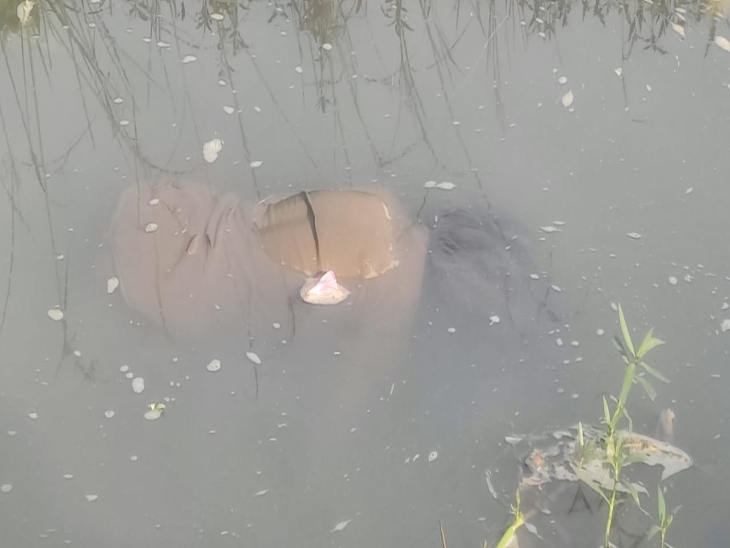 यह पूरा मामला मुजगहन थाना क्षेत्र का है। - Dainik Bhaskar