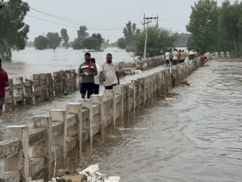 Water passing over the bridge over Sutlej in Fazilka. People say that they are not even getting boats here.